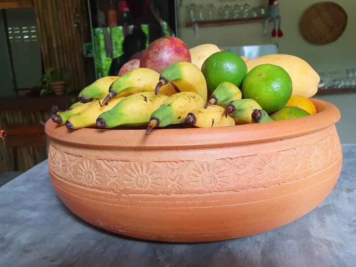 The Mellow Mango Ko Lanta Tajlandia