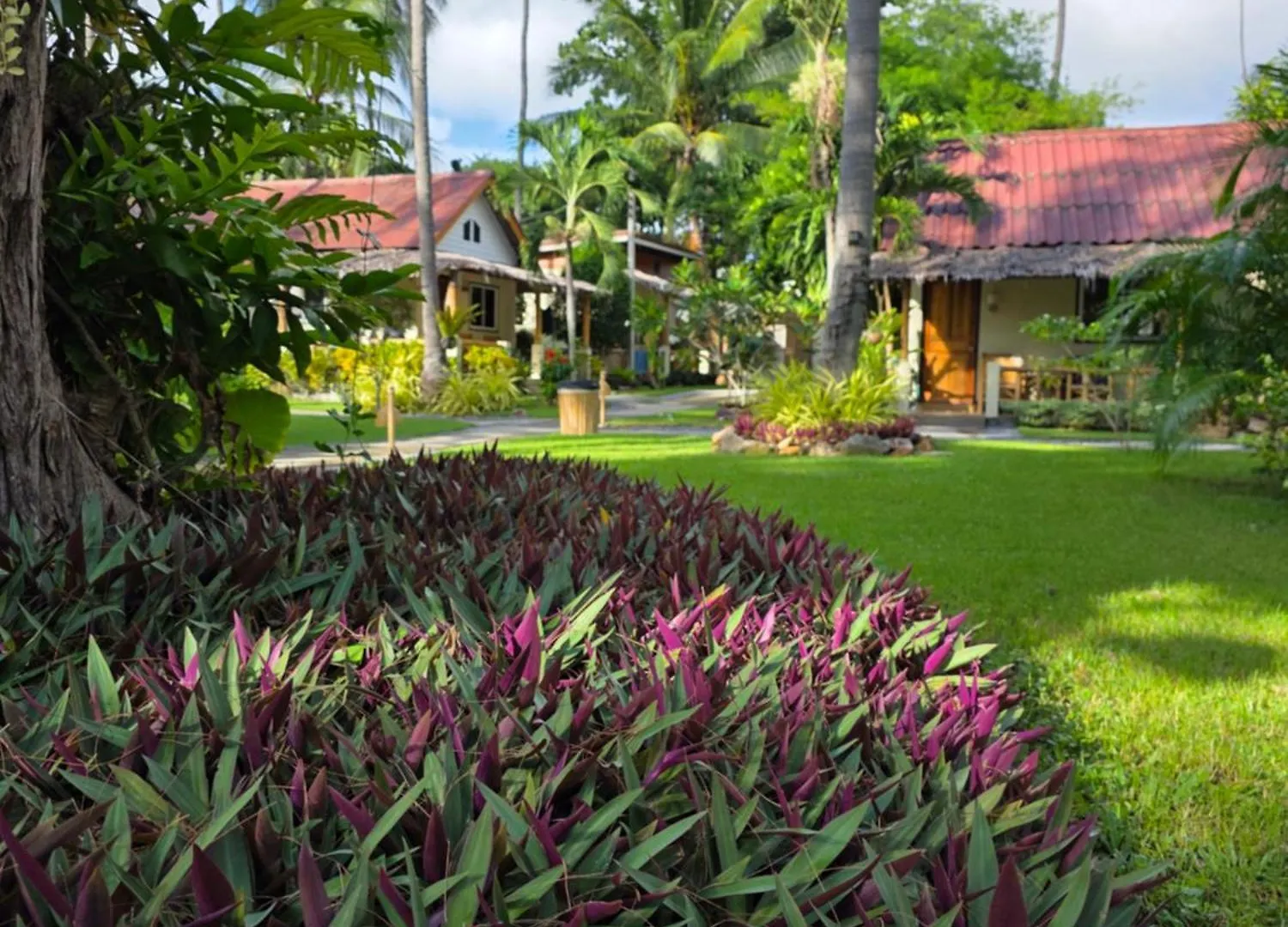 The Mellow Mango Koh Lanta